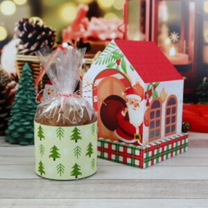 Arquivo Corte -caixa Casinha Panetone 80g -studio