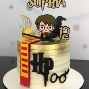 Arquivo de corte Topo de Bolo Harry Potter STUDIO