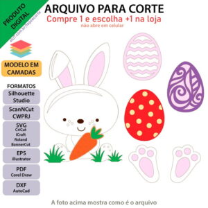 ARQUIVO Topo de bolo Coelhinho Na Grama +1 arquivo da loja