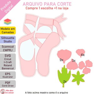 ARQUIVO Topo de bolo Sapatilha Com Acetato +1 tema