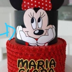 ARQUIVO TOPO MINNIE - STUDIO