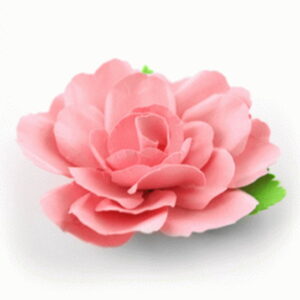Flores 3d - 06