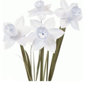 Flores 3d - 19