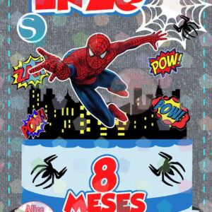 2527 - Arquivo Topper Homem Aranha - Studio