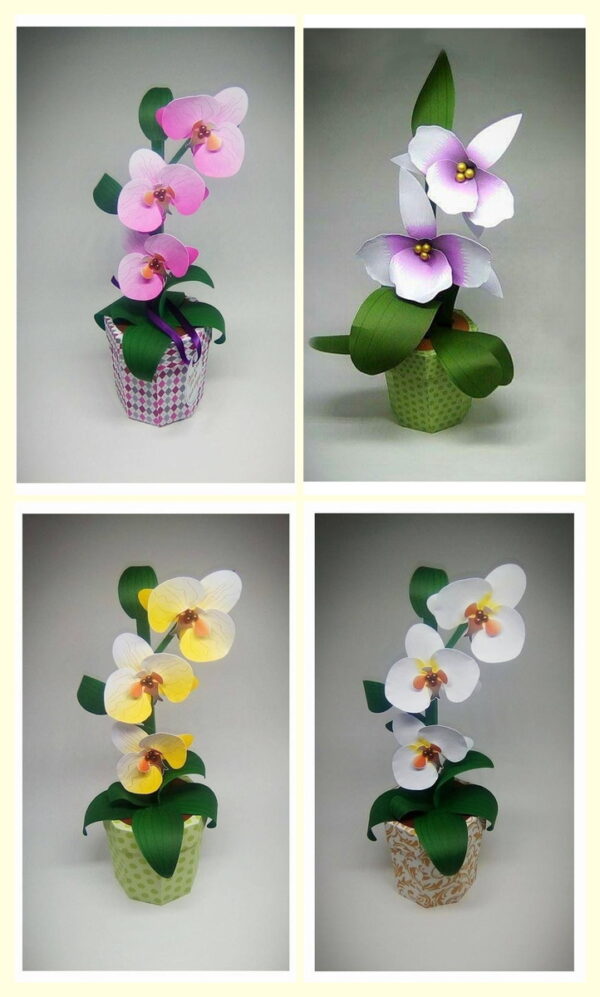 Arquivo de Corte Caixa Orquídea Studio - Image 4