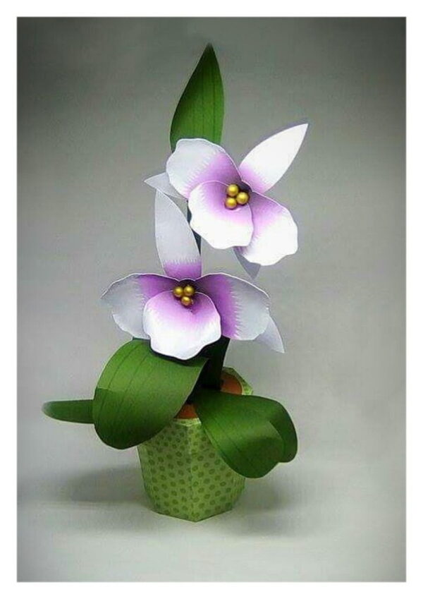Arquivo de Corte Caixa Orquídea Studio - Image 5