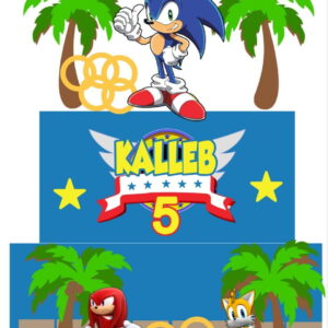 Arquivo de Corte Topo de Bolo Sonic 02