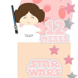 ARQUIVO DE CORTE TOPO DE BOLO Star wars princesa leia