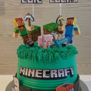 Arquivo Digital Topo Minecraft **promoção**