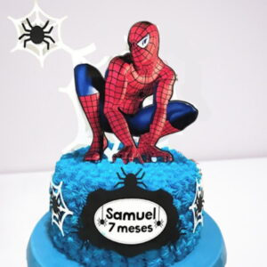 Arquivo Silhouette Topo De Bolo Homem Aranha Super Herói