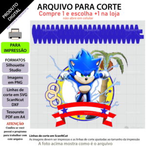 Arquivo Topo de Bolo Sonic Shaker +1 Arquivo da Loja