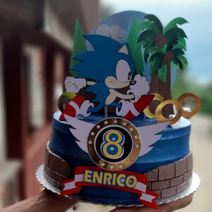 ARQUIVO TOPO SONIC