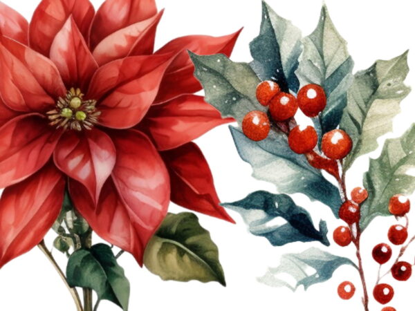 Flores Natalinas em Aquarela Png Cliparts | 28 Elementos - Image 2