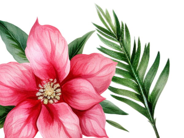 Flores Pink em Aquarela Png Cliparts | 22 Elementos - Image 2