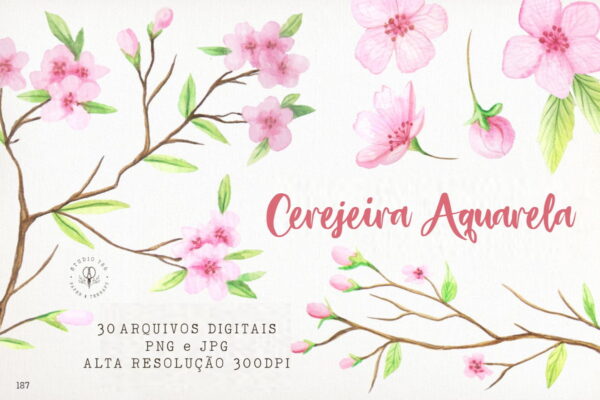 Kit 33 Arquivos Florais Cerejeira Aquarela PNG e JPG - C.187