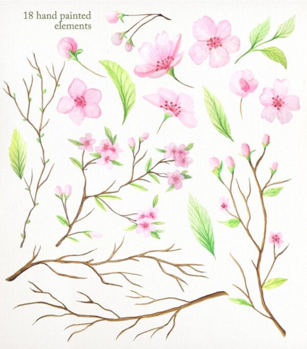 Kit 33 Arquivos Florais Cerejeira Aquarela PNG e JPG - C.187 - Imagem 2