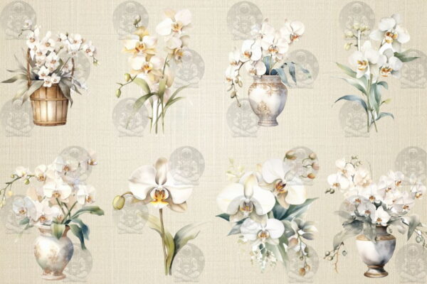 Kit Digital - Aquarela de Orquídeas Brancas - Imagem 2