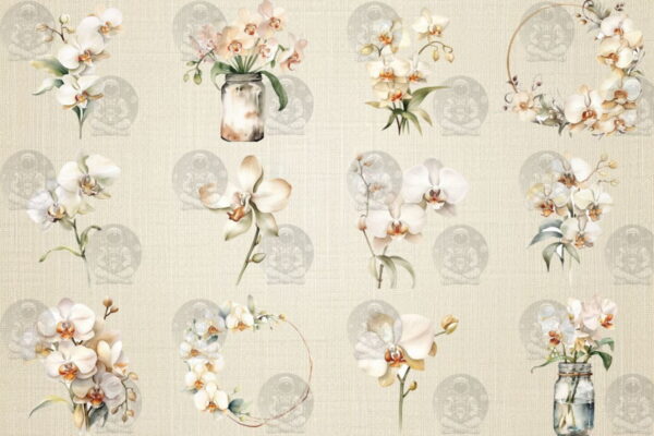 Kit Digital - Aquarela de Orquídeas Brancas - Imagem 3