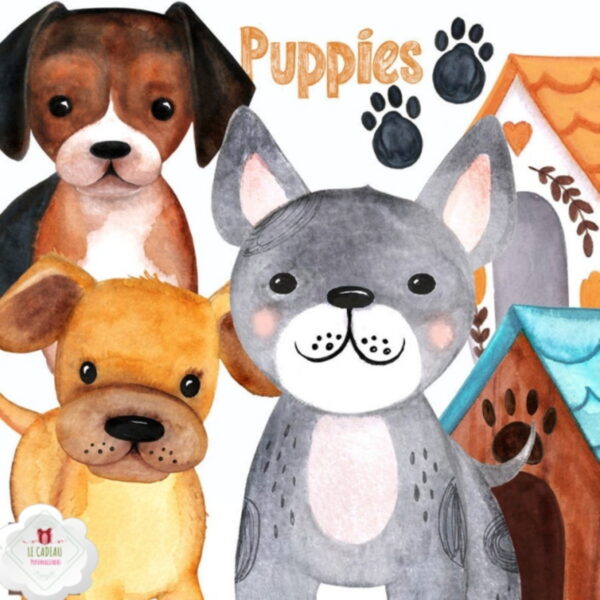 Kit Digital cachorro filhote