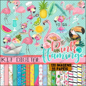 Kit Digital Flamingo
