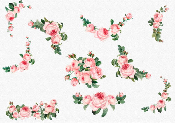 Kit Digital Floral Cliparts Rosa Png - Imagem 2