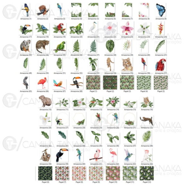 Kit Digital Png Animais Amazonia Aquarela (pague 1 Leve 3) - Image 2