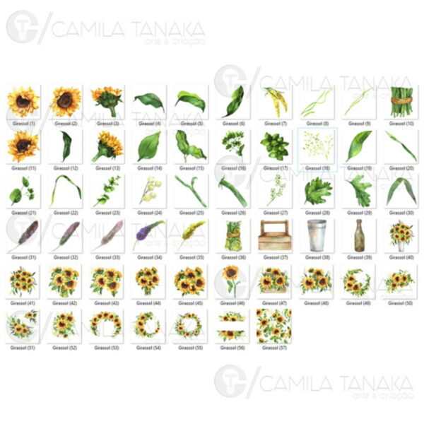 Kit Digital Png Girassol Aquarela (pague 1 Leve 3) - Image 2