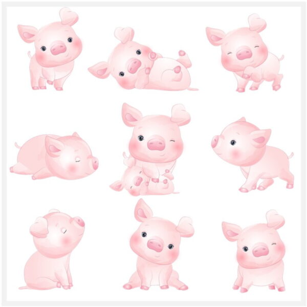 Kit Digital - Porco - Image 2