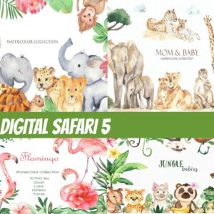 KIT DIGITAL SAFARI 5