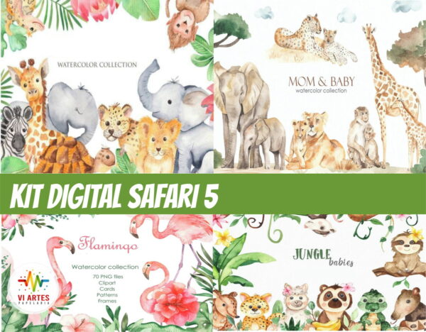 KIT DIGITAL SAFARI 5