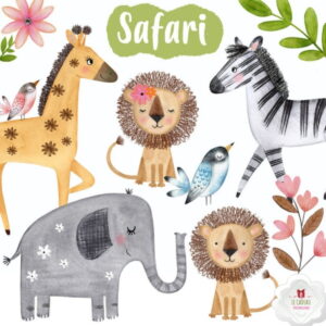Kit Digital Safari