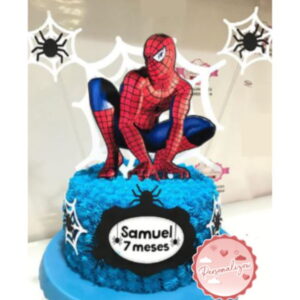Arquivo Topo de Bolo - Homem Aranha